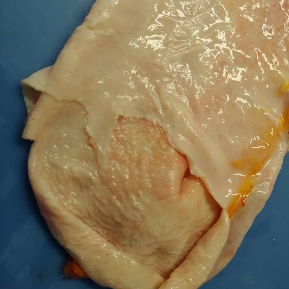 Sturgeon Maw (gas Bladder) (frozen, price per kg)